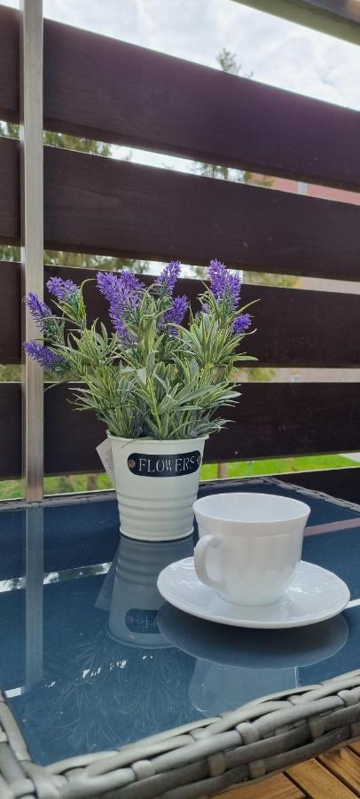 Wanderlust Apartment Altenau (Lower-Saxony)
